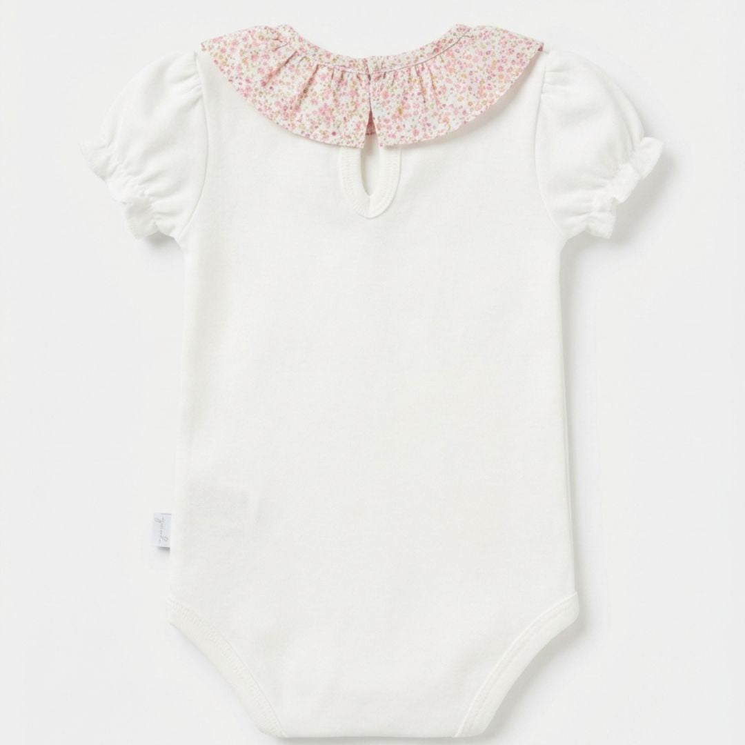 Body con cuello volante Florence manga corta