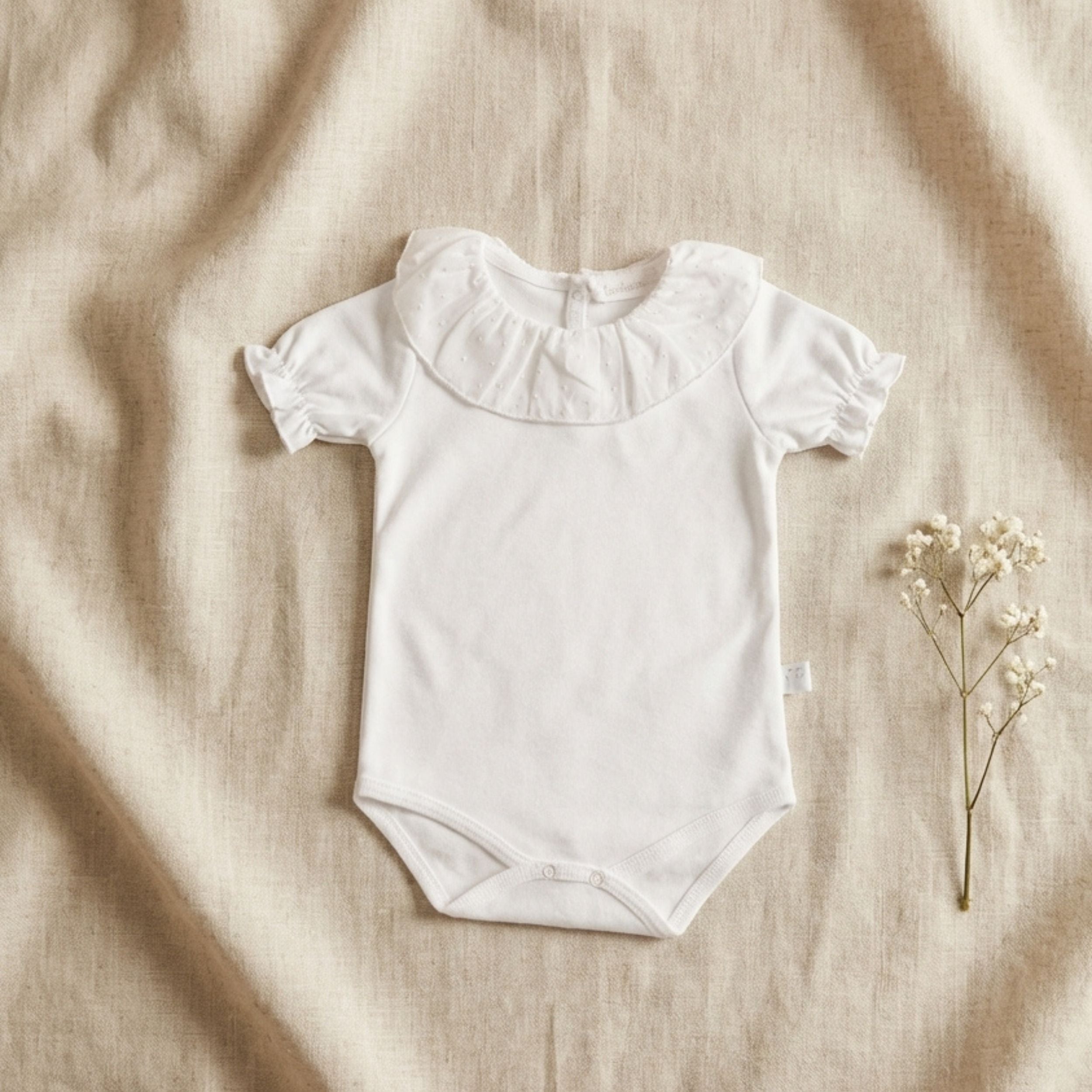 Body manga corta (Elige 3 Ahorra -30%)