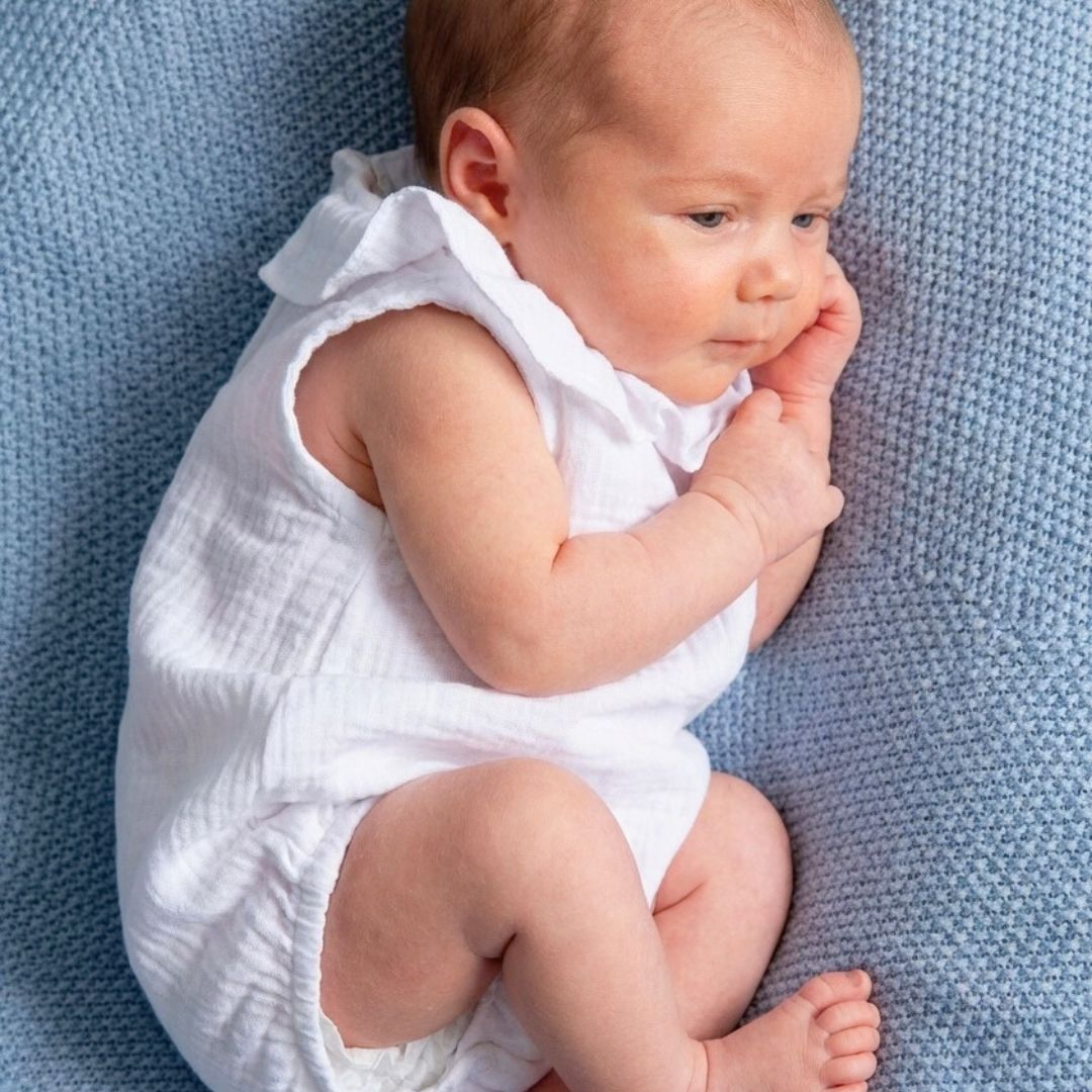 Ranita Bámbula blanca