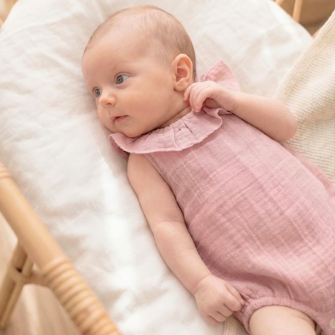 Ranita Bámbula rosa